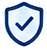 Navy outlined shield with a checkmark, representing voter decision/security.
